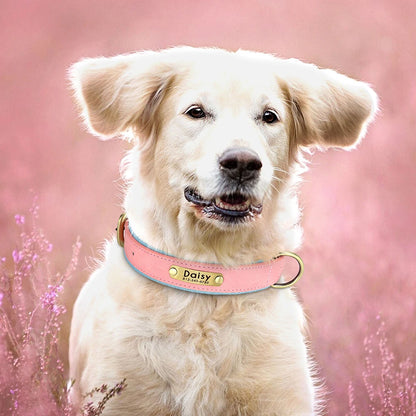 Collier en cuir personnalisé pour chien – Rembourré et réglable, avec gravure gratuite | Disponible pour les chiens de petite, moyenne et grande taille