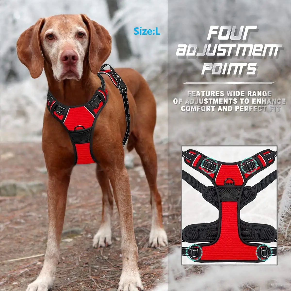 Heavy Duty No Pull Dog Harness