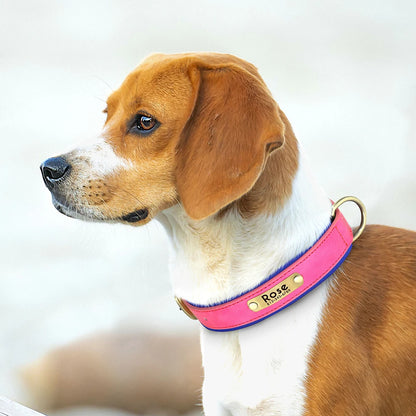 Collier en cuir personnalisé pour chien – Rembourré et réglable, avec gravure gratuite | Disponible pour les chiens de petite, moyenne et grande taille