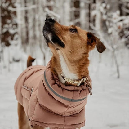 Pet Dog Jacket Vest Winter Warm Dog Down Vest Clothes Windproof For Dogs Pet Coat Chihuahua French Bulldog Outfits