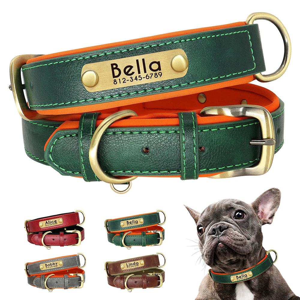 Collier en cuir personnalisé pour chien – Rembourré et réglable, avec gravure gratuite | Disponible pour les chiens de petite, moyenne et grande taille