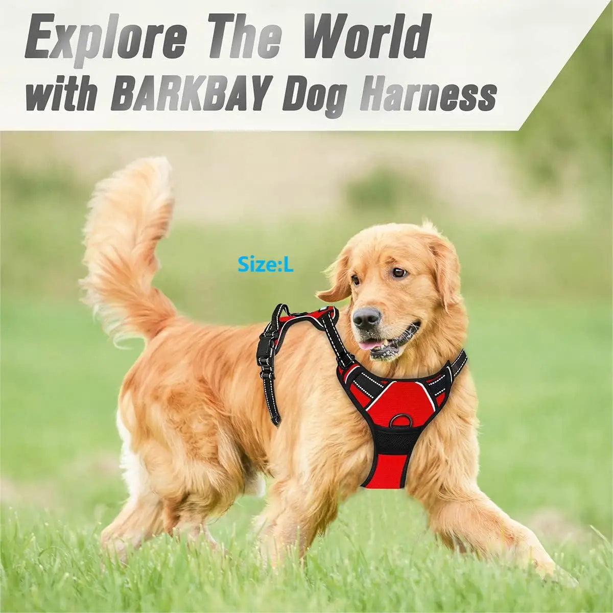 Heavy Duty No Pull Dog Harness