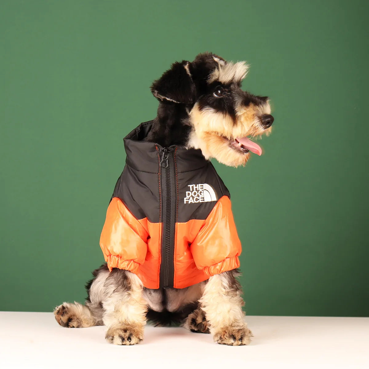 SnugPaws Reflective Jacket