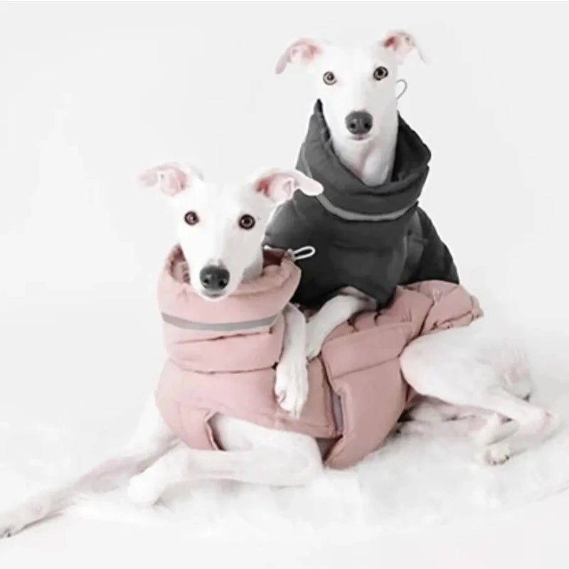 Pet Dog Jacket Vest Winter Warm Dog Down Vest Clothes Windproof For Dogs Pet Coat Chihuahua French Bulldog Outfits