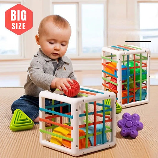 Montessori Shape Sorter Blocks